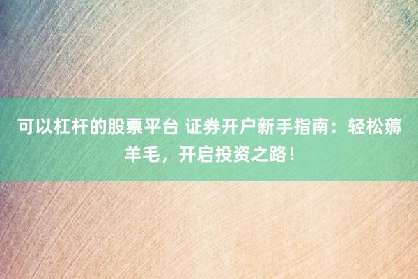 可以杠杆的股票平台 证券开户新手指南：轻松薅羊毛，开启投资之路！