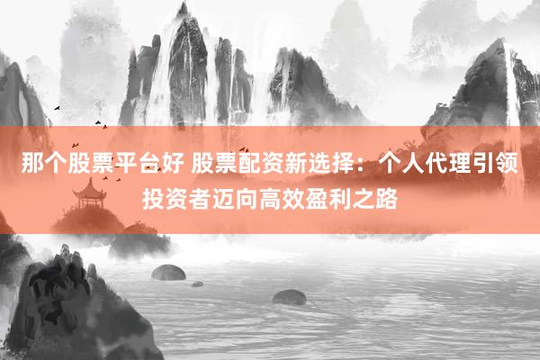 那个股票平台好 股票配资新选择：个人代理引领投资者迈向高效盈利之路
