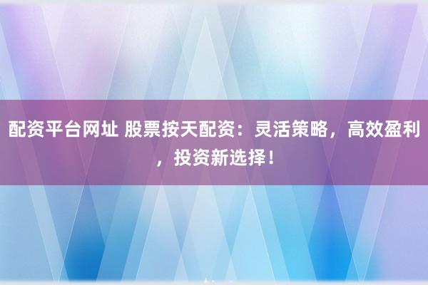配资平台网址 股票按天配资：灵活策略，高效盈利，投资新选择！