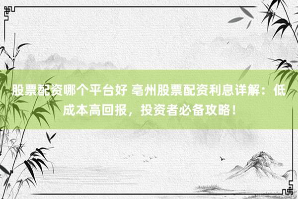 股票配资哪个平台好 亳州股票配资利息详解：低成本高回报，投资者必备攻略！
