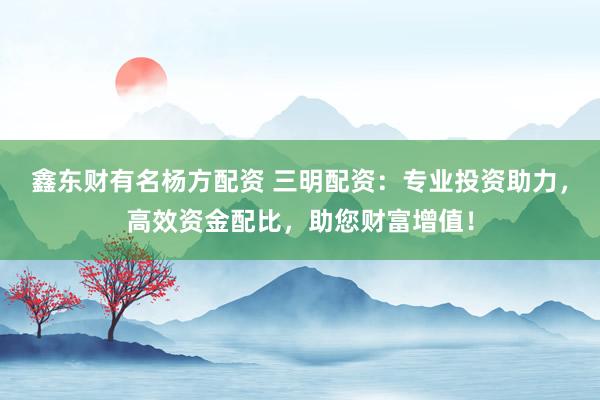 鑫东财有名杨方配资 三明配资:专业投资助力,高效资金配比,助您财富增值!