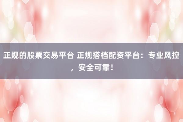 正规的股票交易平台 正规搭档配资平台:专业风控,安全可靠!