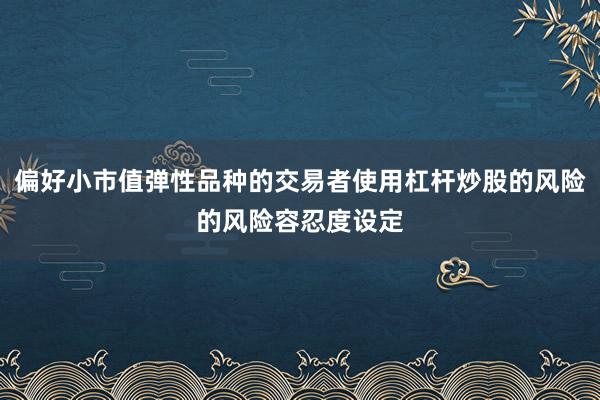 偏好小市值弹性品种的交易者使用杠杆炒股的风险的风险容忍度设定
