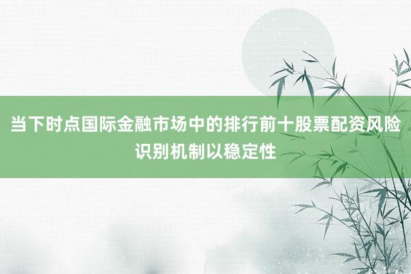 当下时点国际金融市场中的排行前十股票配资风险识别机制以稳定性