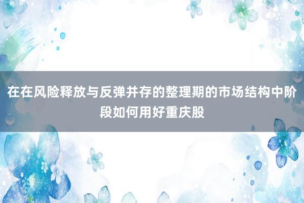 在在风险释放与反弹并存的整理期的市场结构中阶段如何用好重庆股