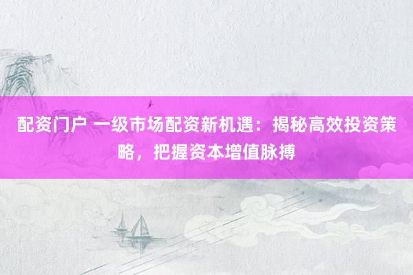 配资门户 一级市场配资新机遇:揭秘高效投资策略,把握资本增值脉搏