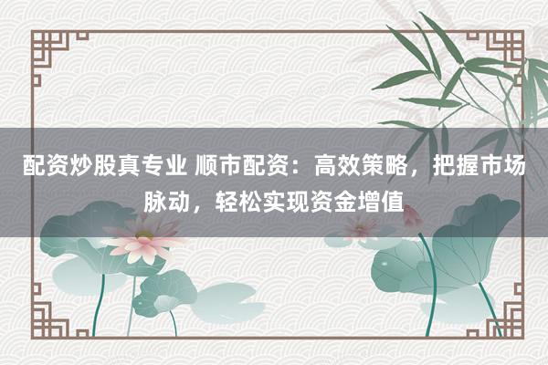 配资炒股真专业 顺市配资：高效策略，把握市场脉动，轻松实现资金增值