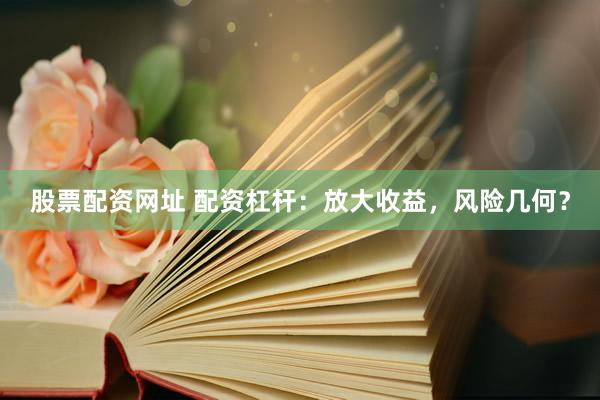 股票配资网址 配资杠杆:放大收益,风险几何?