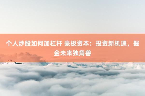 个人炒股如何加杠杆 豪极资本：投资新机遇，掘金未来独角兽