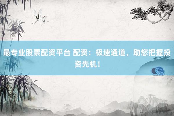 最专业股票配资平台 配资:极速通道,助您把握投资先机!